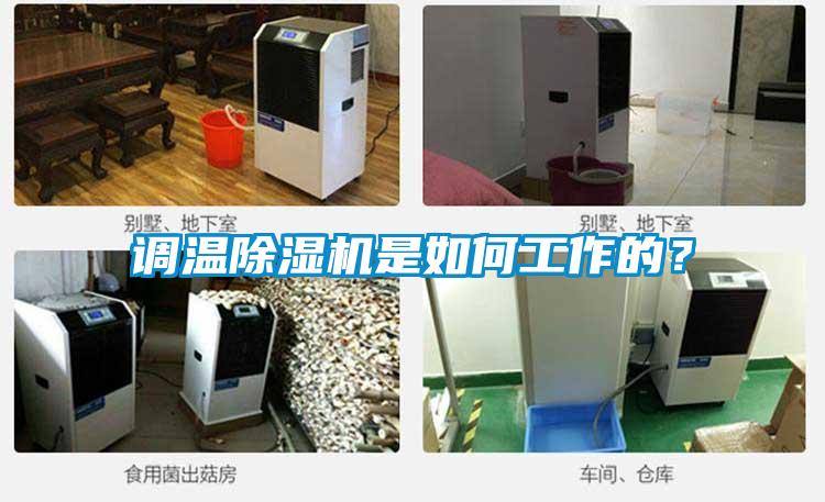 調(diào)溫除濕機是如何工作的？