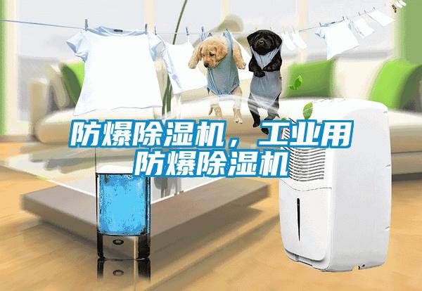 防爆除濕機(jī)，工業(yè)用防爆除濕機(jī)