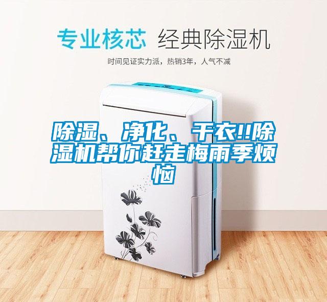除濕、凈化、干衣!!除濕機(jī)幫你趕走梅雨季煩惱