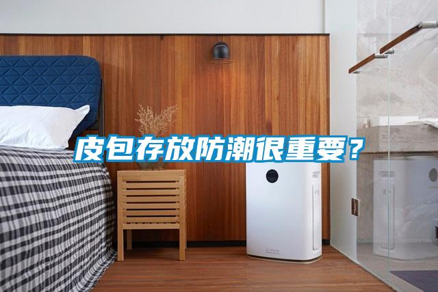 皮包存放防潮很重要？