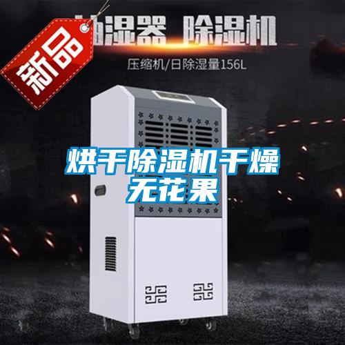 烘干除濕機干燥無花果