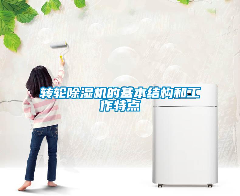轉(zhuǎn)輪除濕機的基本結(jié)構(gòu)和工作特點