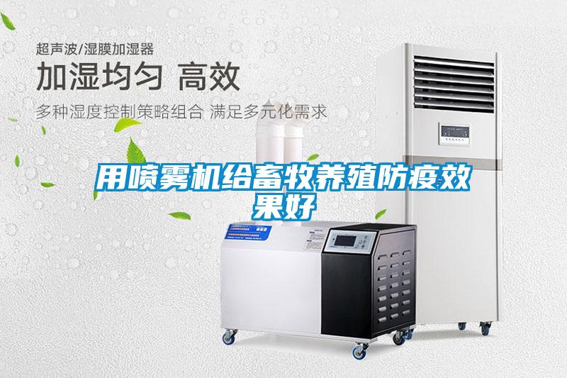 用噴霧機給畜牧養(yǎng)殖防疫效果好