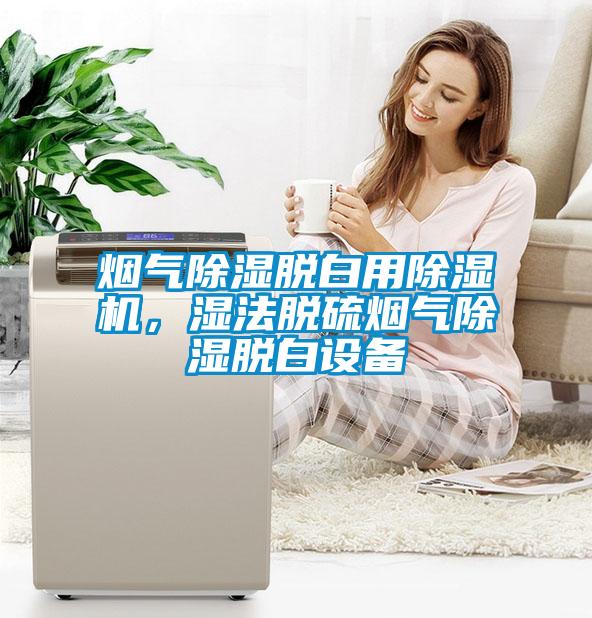 煙氣除濕脫白用除濕機(jī)，濕法脫硫煙氣除濕脫白設(shè)備