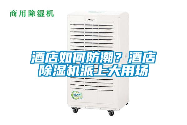 酒店如何防潮？酒店除濕機派上大用場