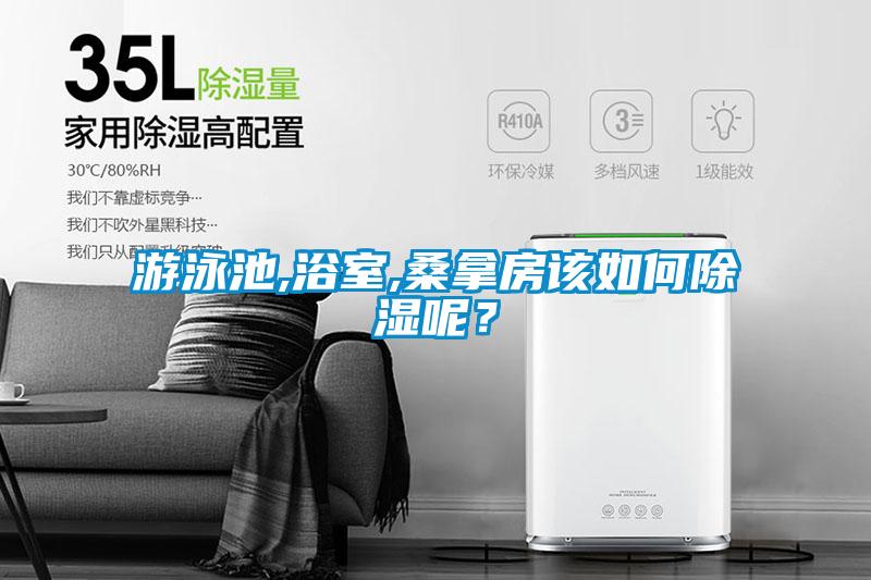 游泳池,浴室,桑拿房該如何除濕呢？