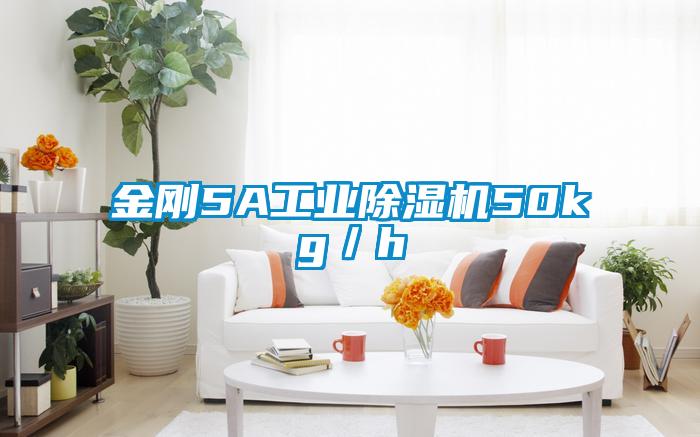 金剛5A工業(yè)除濕機50kg／h