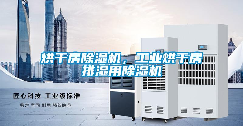 烘干房除濕機(jī)，工業(yè)烘干房排濕用除濕機(jī)