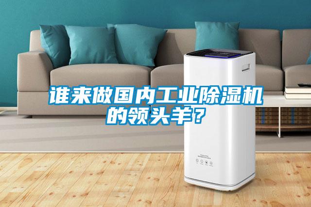 誰來做國內(nèi)工業(yè)除濕機的領(lǐng)頭羊？