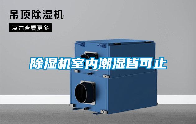 除濕機(jī)室內(nèi)潮濕皆可止
