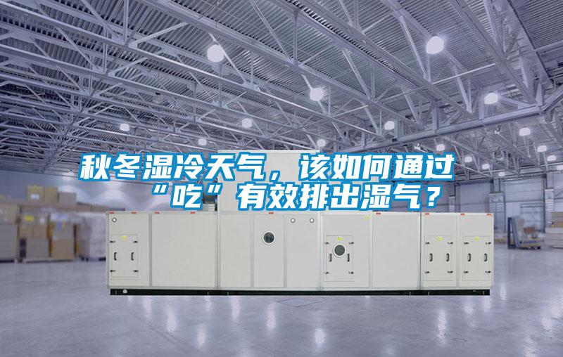 秋冬濕冷天氣，該如何通過“吃”有效排出濕氣？