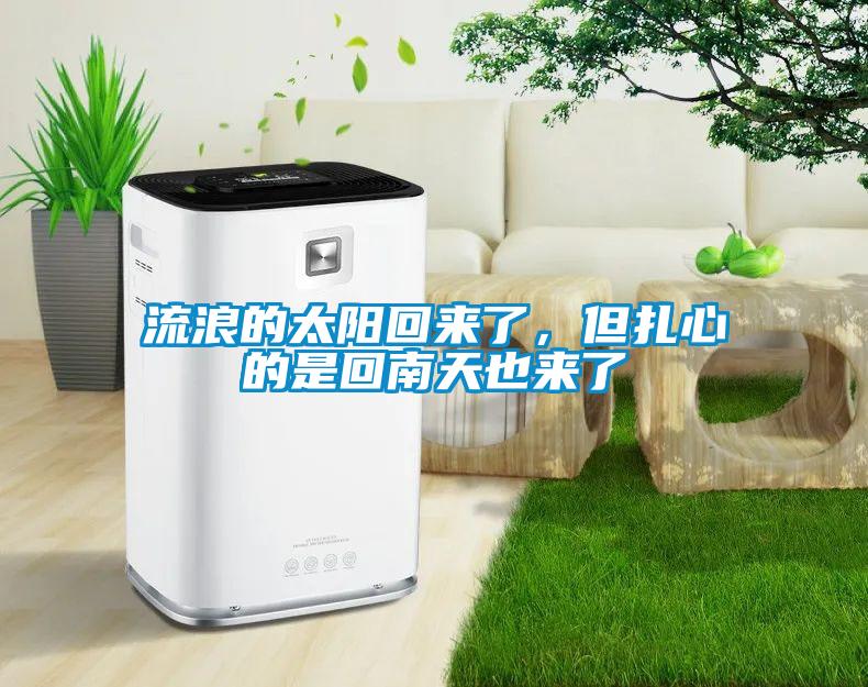 流浪的太陽回來了，但扎心的是回南天也來了