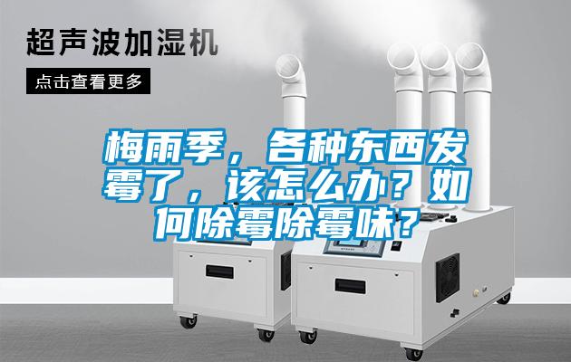 梅雨季，各種東西發(fā)霉了，該怎么辦？如何除霉除霉味？