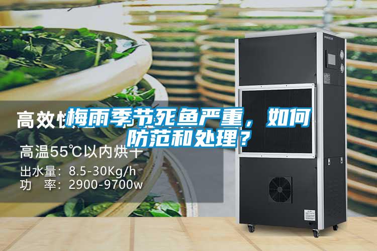 梅雨季節(jié)死魚(yú)嚴(yán)重，如何防范和處理？