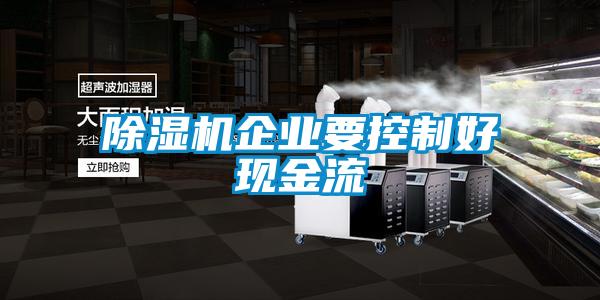 除濕機(jī)企業(yè)要控制好現(xiàn)金流