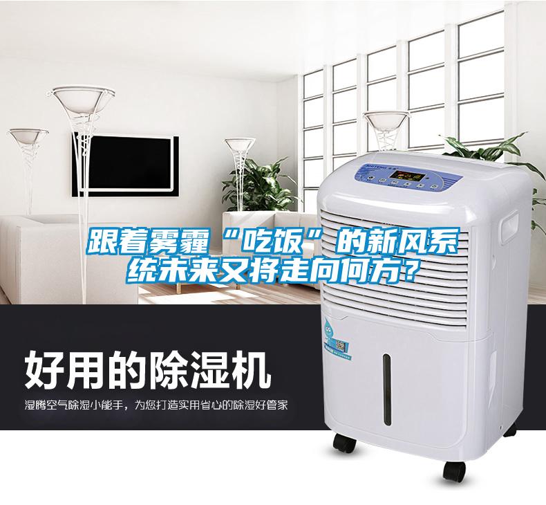 跟著霧霾“吃飯”的新風(fēng)系統(tǒng)未來又將走向何方？