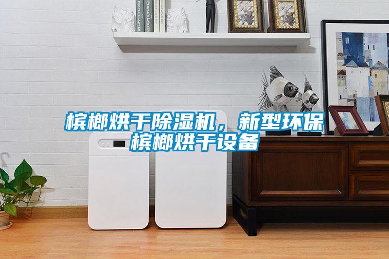 檳榔烘干除濕機(jī)，新型環(huán)保檳榔烘干設(shè)備