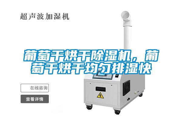 葡萄干烘干除濕機，葡萄干烘干均勻排濕快