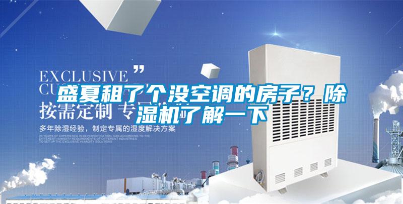 盛夏租了個(gè)沒(méi)空調(diào)的房子？除濕機(jī)了解一下