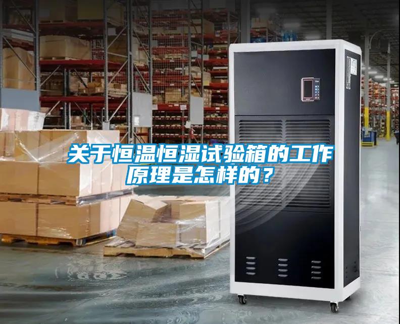 關于恒溫恒濕試驗箱的工作原理是怎樣的？