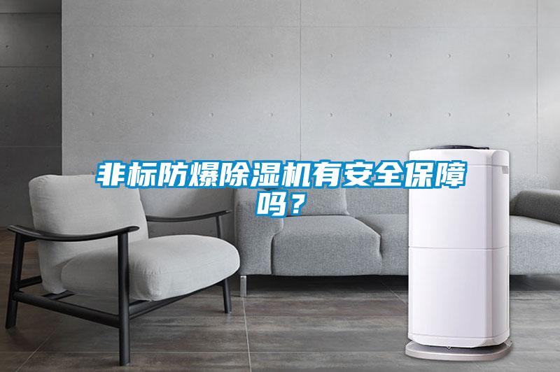 非標(biāo)防爆除濕機(jī)有安全保障嗎？
