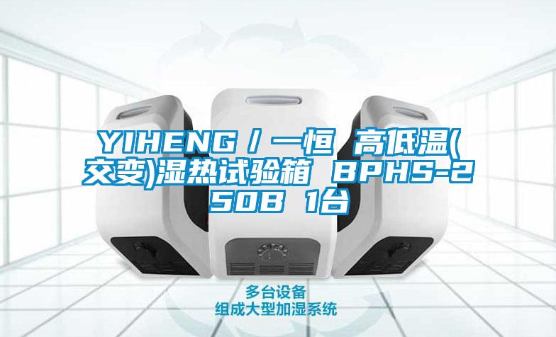 YIHENG／一恒 高低溫(交變)濕熱試驗(yàn)箱 BPHS-250B 1臺(tái)