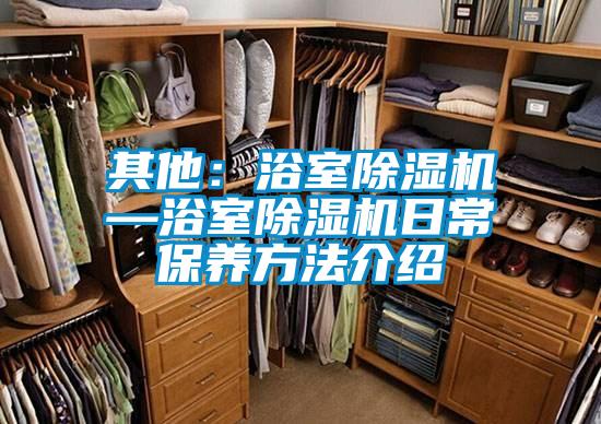 其他：浴室除濕機(jī)—浴室除濕機(jī)日常保養(yǎng)方法介紹