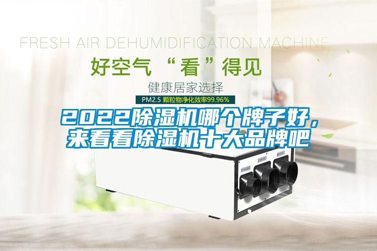 2022除濕機哪個牌子好，來看看除濕機十大品牌吧