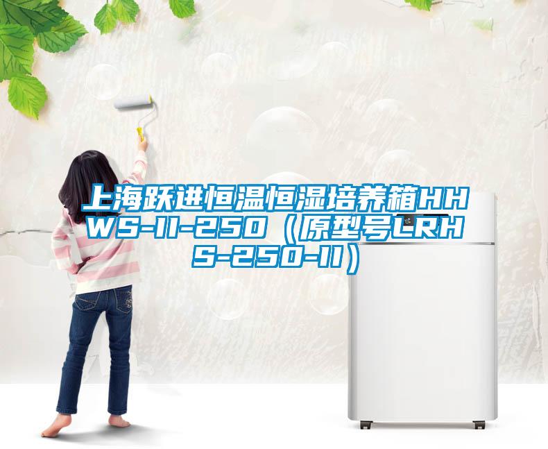 上海躍進恒溫恒濕培養(yǎng)箱HHWS-II-250（原型號LRHS-250-II）