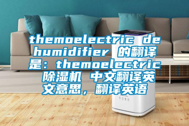 themoelectric dehumidifier 的翻譯是：themoelectric 除濕機 中文翻譯英文意思，翻譯英語