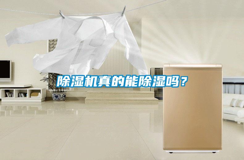除濕機(jī)真的能除濕嗎？