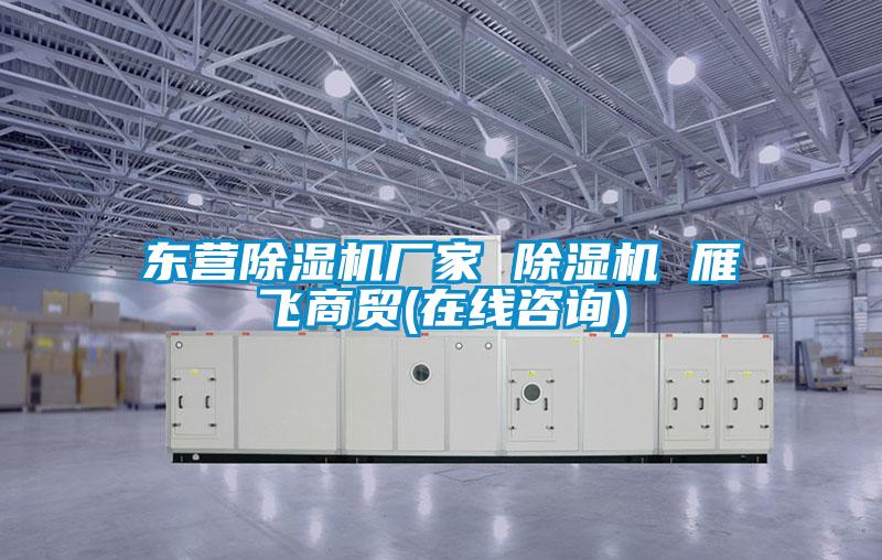 東營除濕機(jī)廠家 除濕機(jī) 雁飛商貿(mào)(在線咨詢)