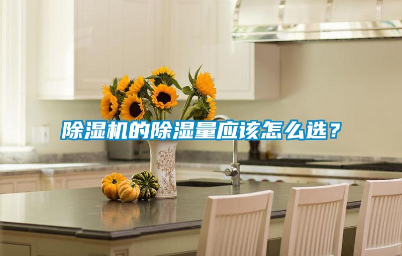 除濕機(jī)的除濕量應(yīng)該怎么選？