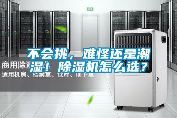 不會(huì)挑，難怪還是潮濕！除濕機(jī)怎么選？