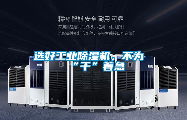 選好工業(yè)除濕機(jī)，不為“干”著急