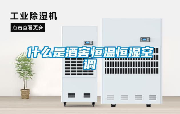 什么是酒窖恒溫恒濕空調(diào)