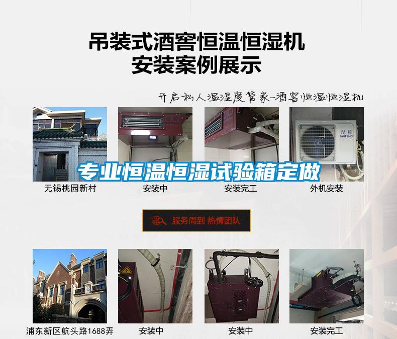 專業(yè)恒溫恒濕試驗(yàn)箱定做