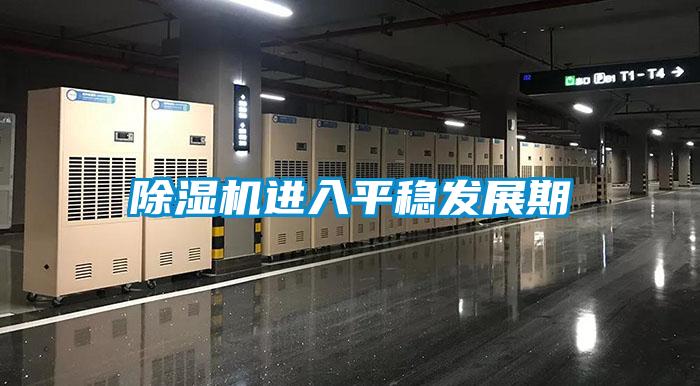 除濕機進入平穩(wěn)發(fā)展期