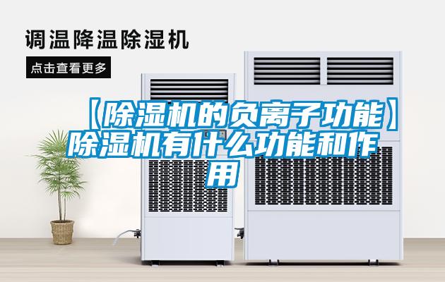 【除濕機的負離子功能】除濕機有什么功能和作用