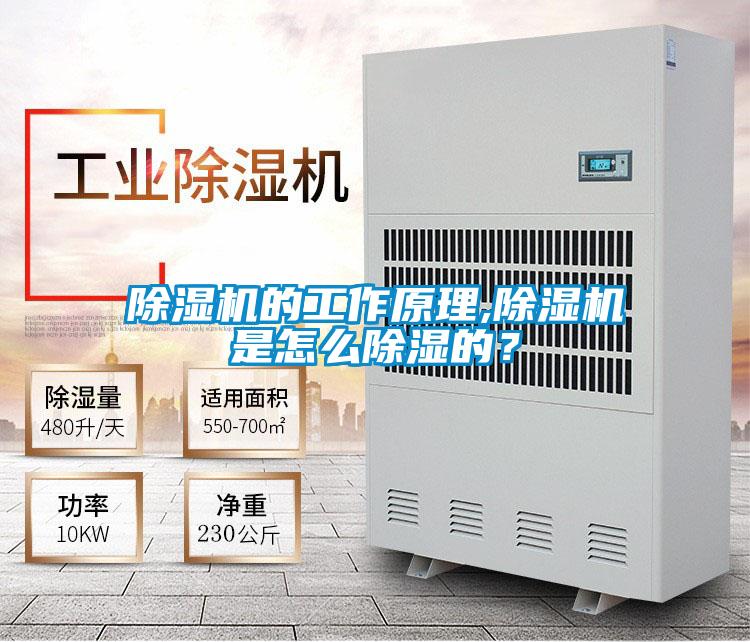 除濕機(jī)的工作原理,除濕機(jī)是怎么除濕的？