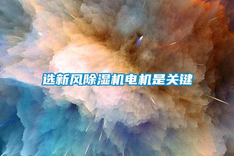 選新風(fēng)除濕機(jī)電機(jī)是關(guān)鍵