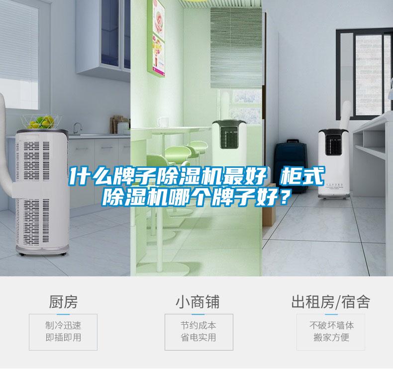 什么牌子除濕機(jī)最好 柜式除濕機(jī)哪個(gè)牌子好？