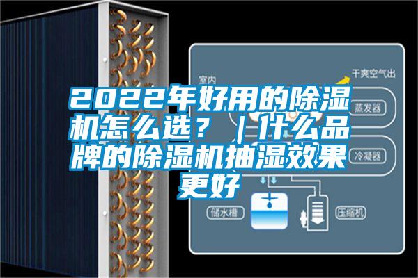 2022年好用的除濕機怎么選？｜什么品牌的除濕機抽濕效果更好