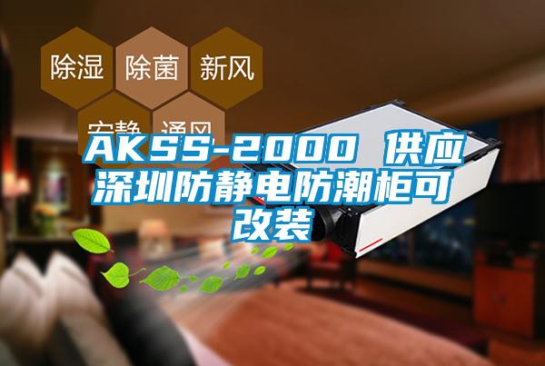 AKSS-2000 供應(yīng)深圳防靜電防潮柜可改裝