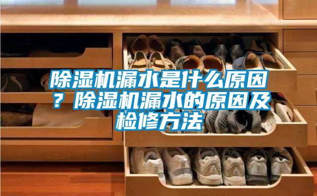 除濕機(jī)漏水是什么原因？除濕機(jī)漏水的原因及檢修方法