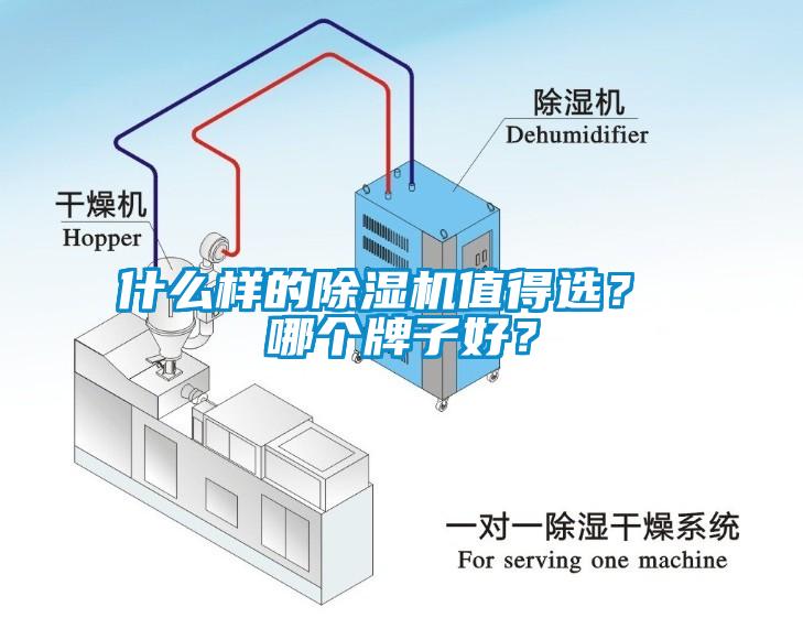什么樣的除濕機值得選？ 哪個牌子好？