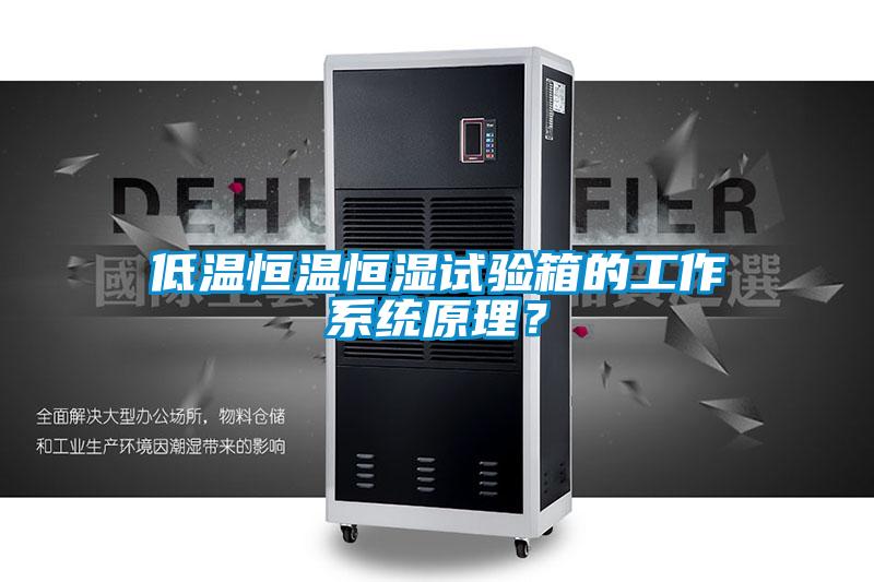 低溫恒溫恒濕試驗箱的工作系統(tǒng)原理？