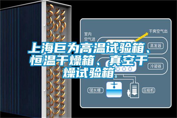 上海巨為高溫試驗(yàn)箱、恒溫干燥箱、真空干燥試驗(yàn)箱