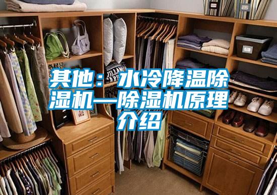 其他：水冷降溫除濕機(jī)—除濕機(jī)原理介紹