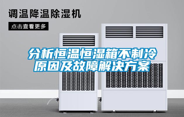 分析恒溫恒濕箱不制冷原因及故障解決方案